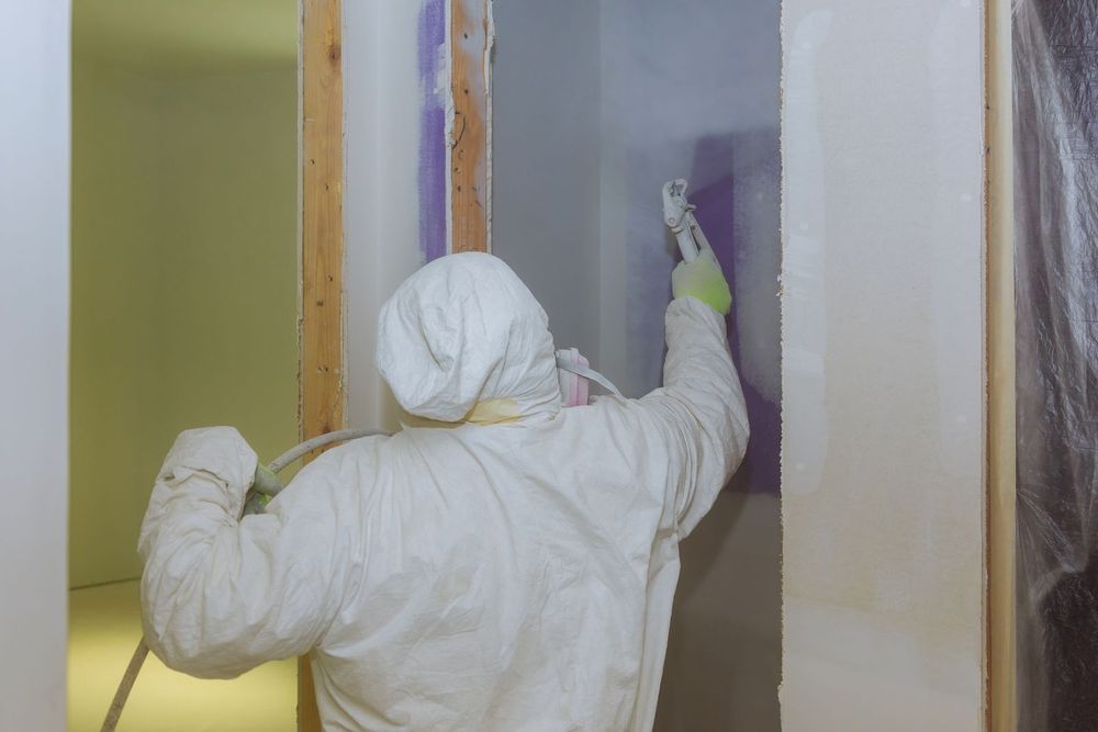 Effektive Schimmelbekämpfung in Mülheim und Umgebung